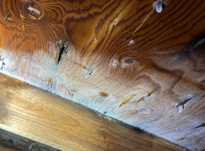 Frost on roofing nail tips inside an attic, a condensation indicator found during a home inspection in Southern New Brunswick